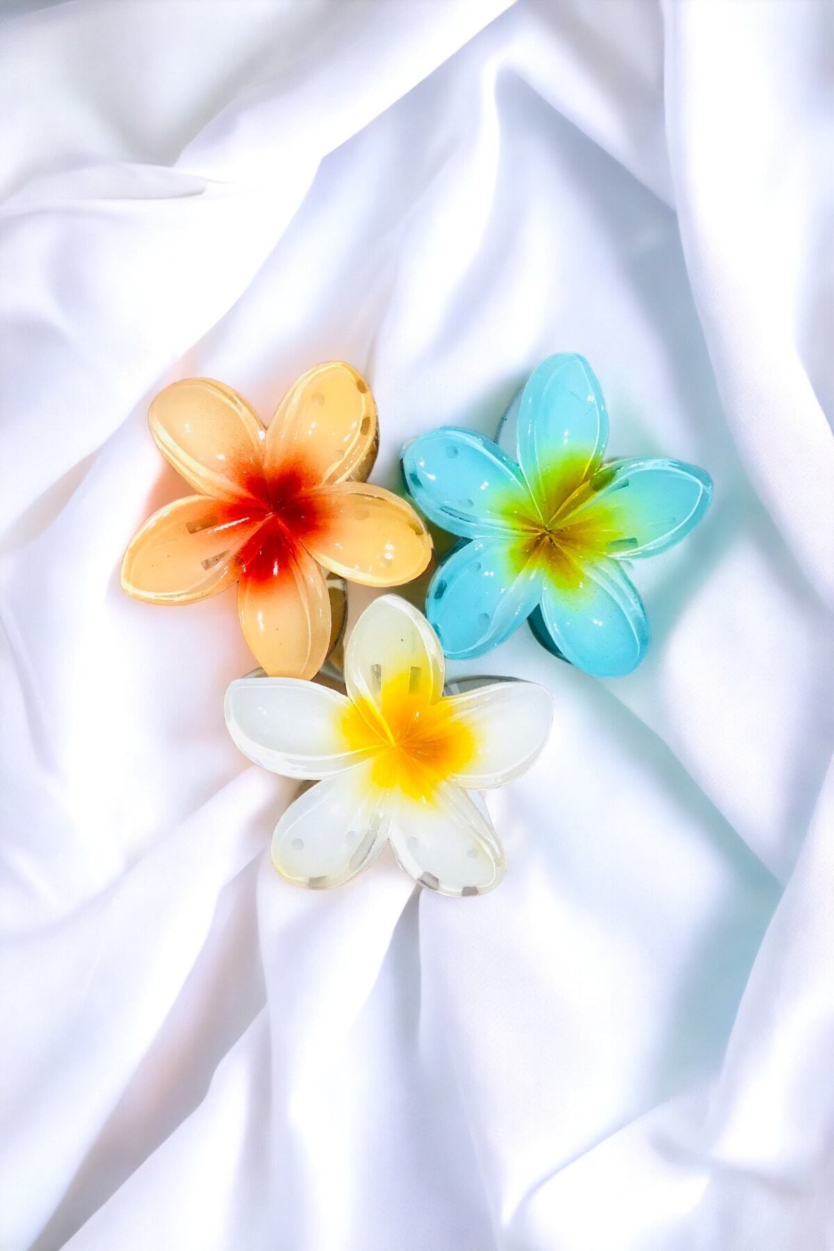 Çicek Model 3 Adet Büyük Boy 8 Cm Parlak Mandal Lotus Toka