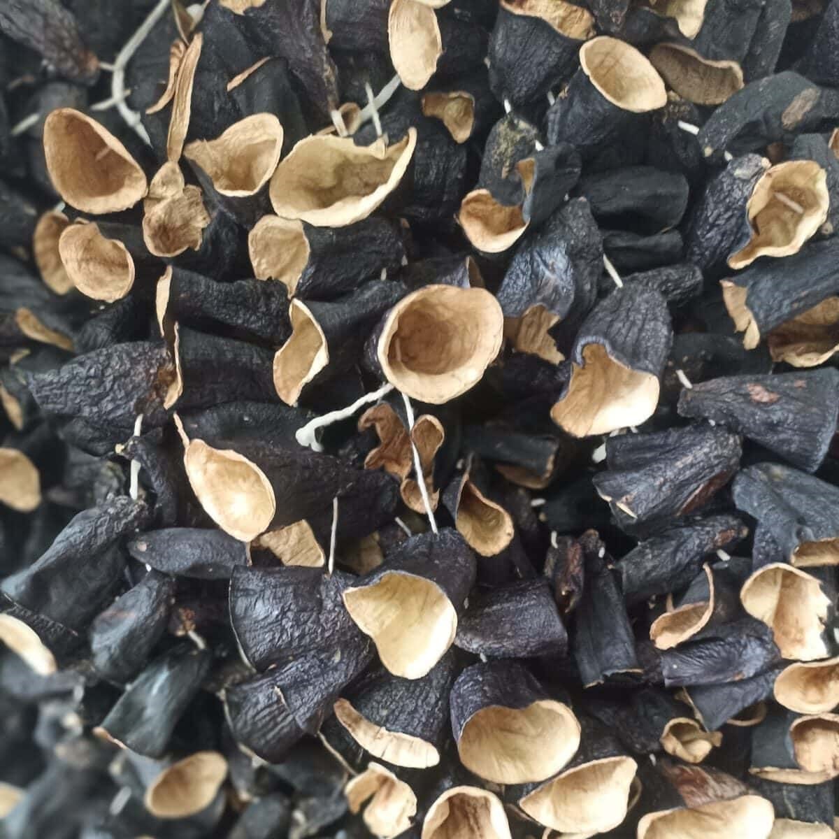 Dolmalık Sap Patlıcan Kurusu 44-45 Adet