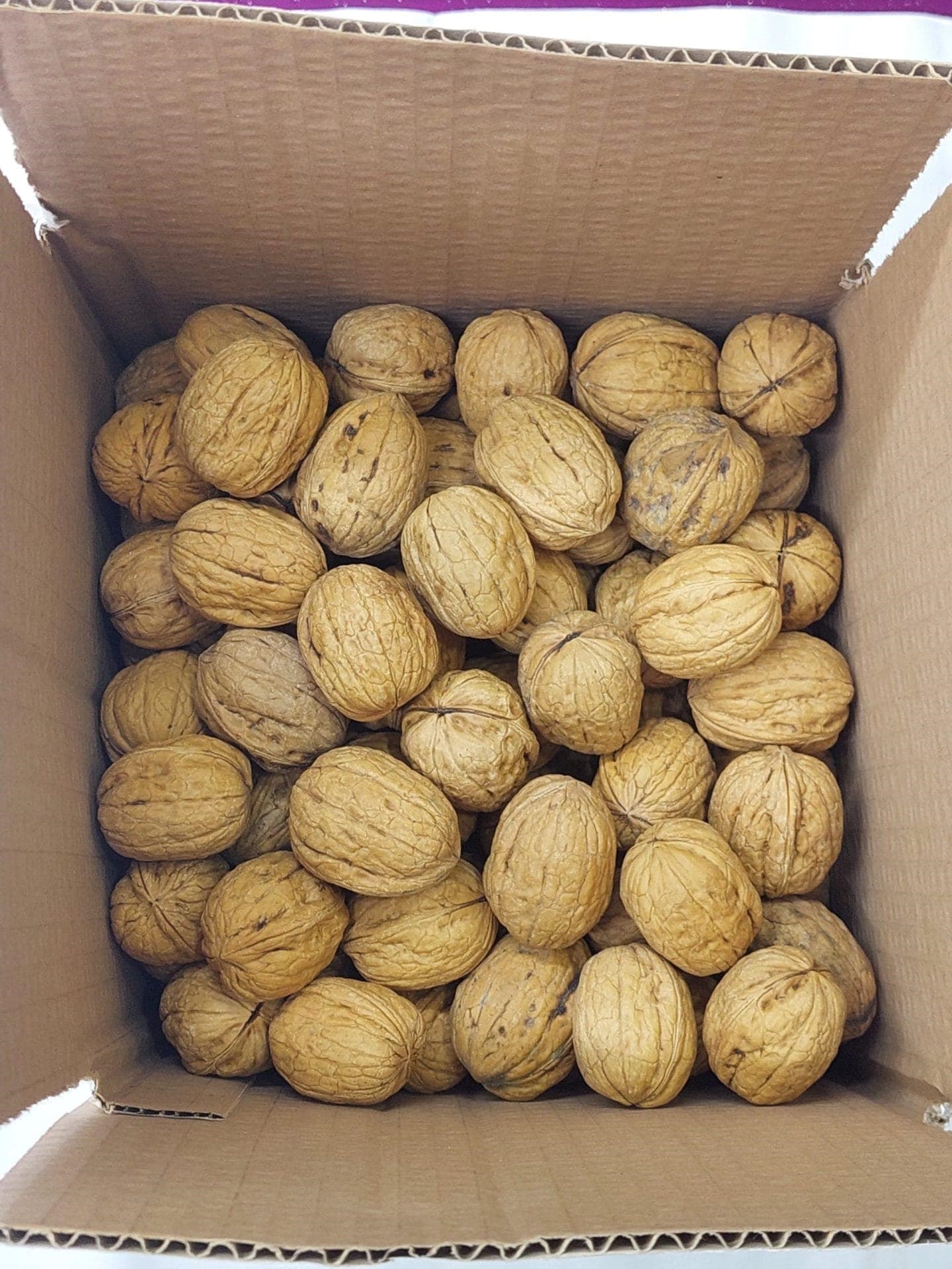 İnce Kabuklu Ceviz 1 Kg A Tip