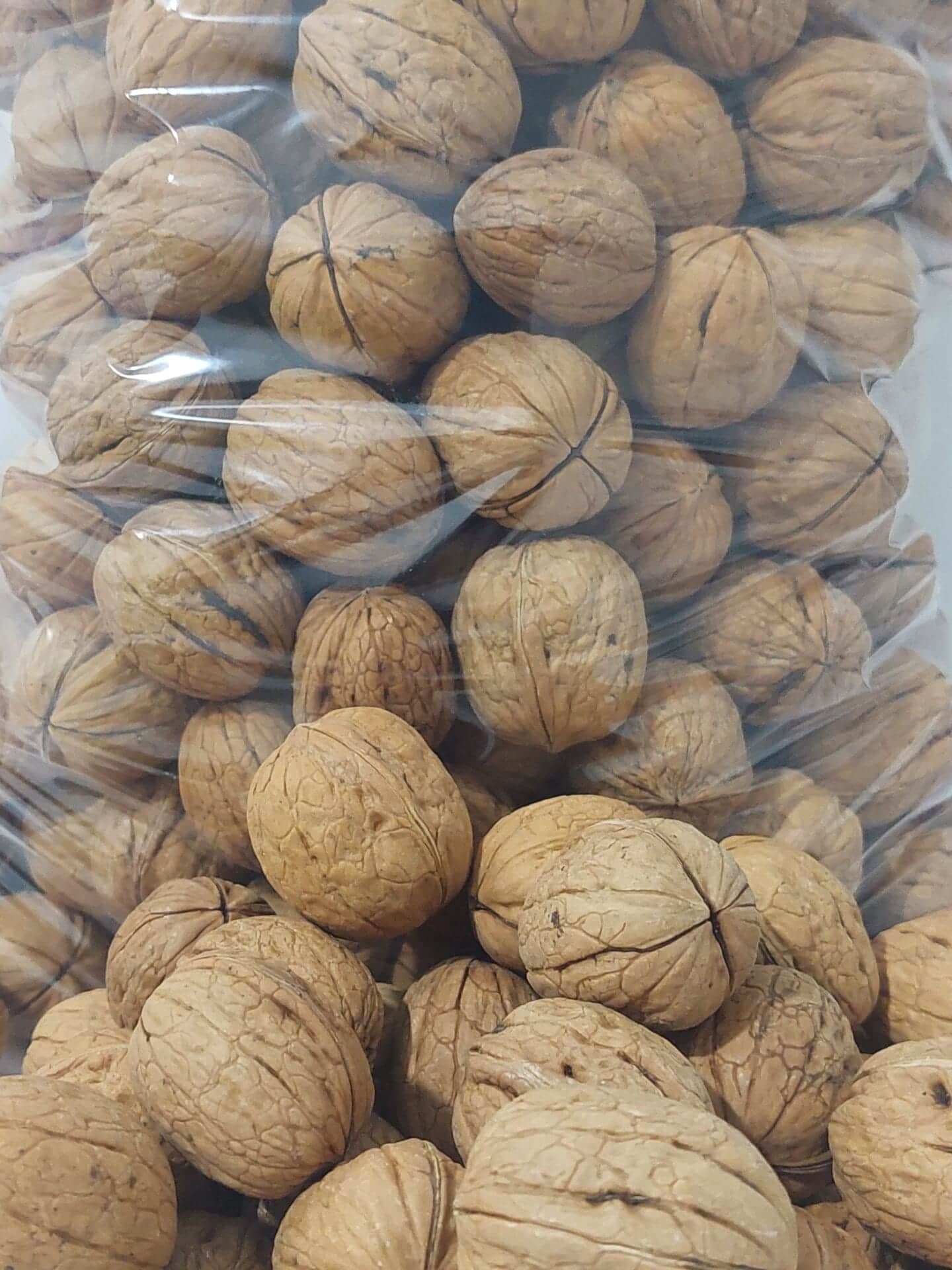 İnce Kabuklu Ceviz 1 Kg B Tip