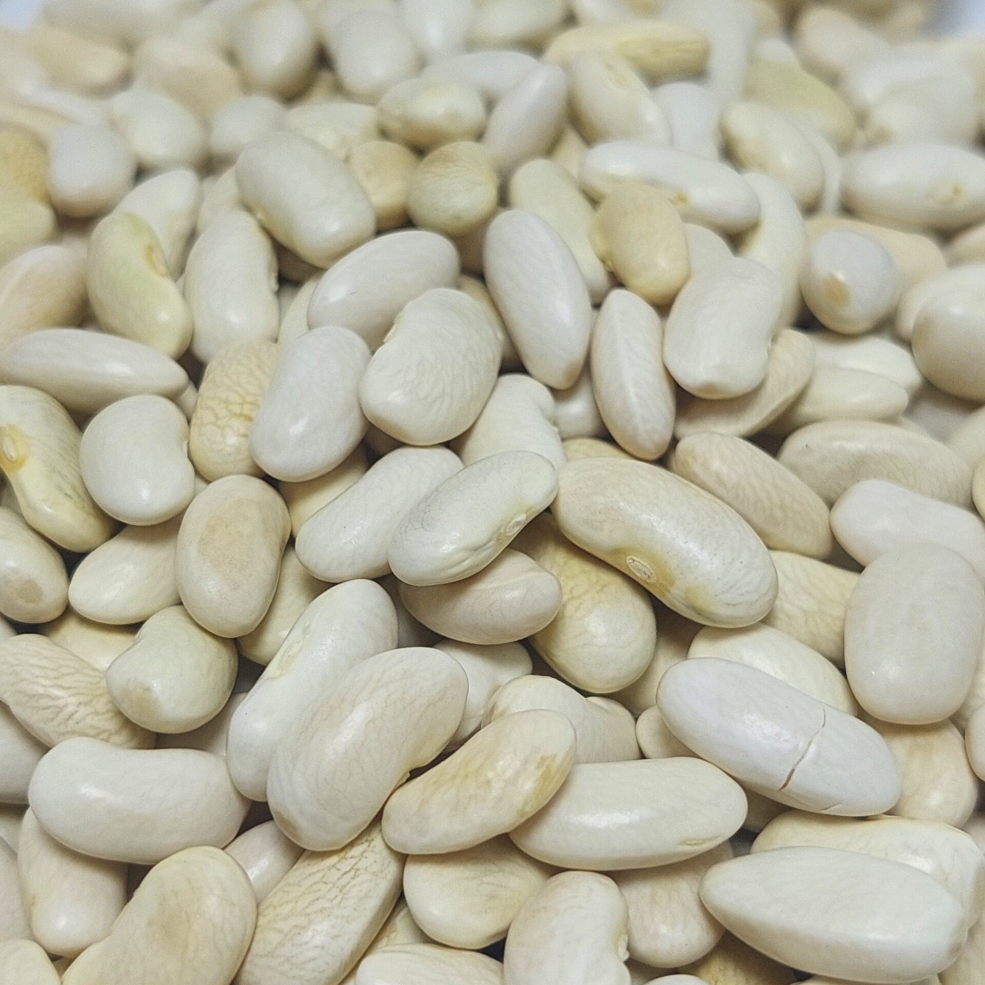 Kuru Fasulye 500 Gr Horoz