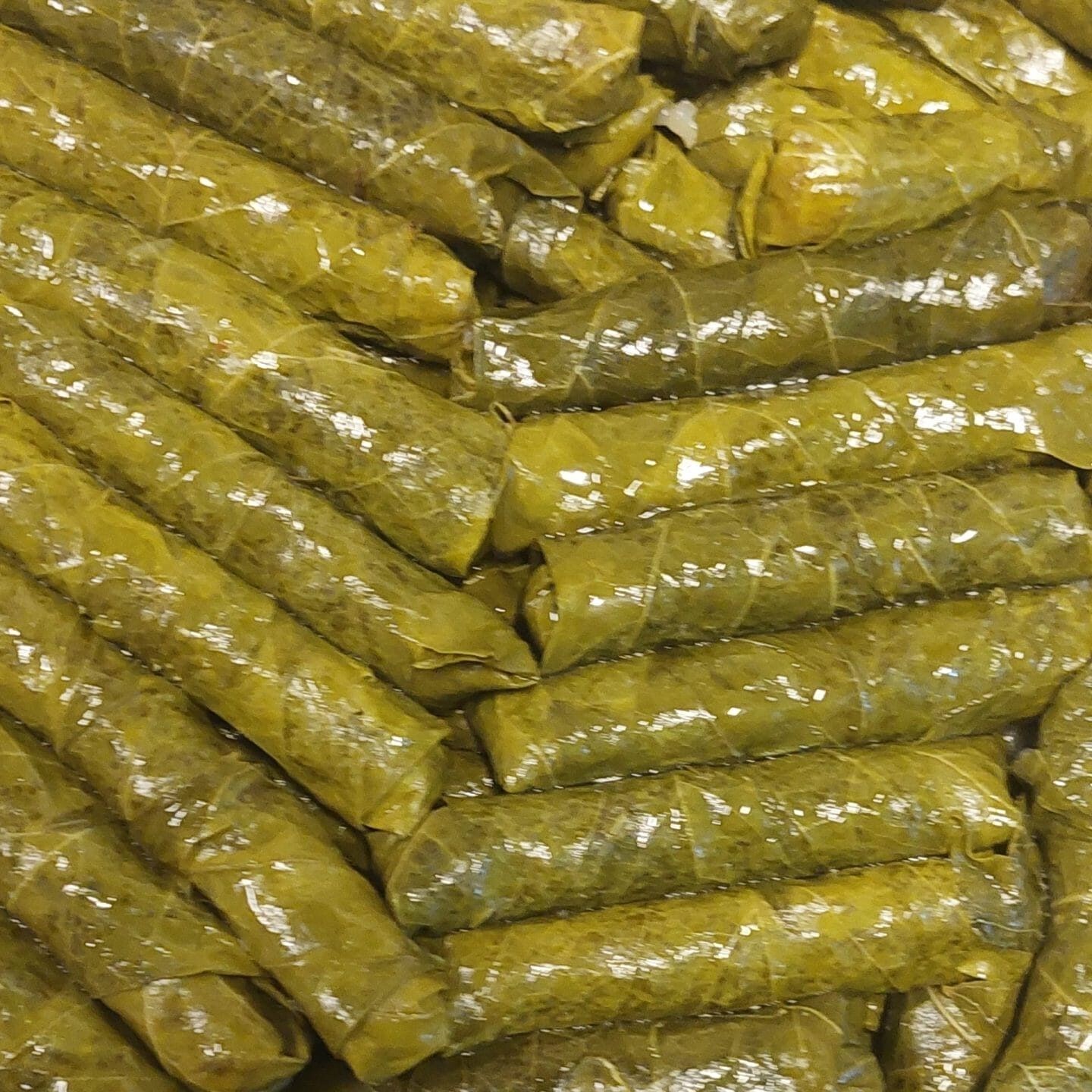 Salamura Asma Uç Yaprağı 5 lik