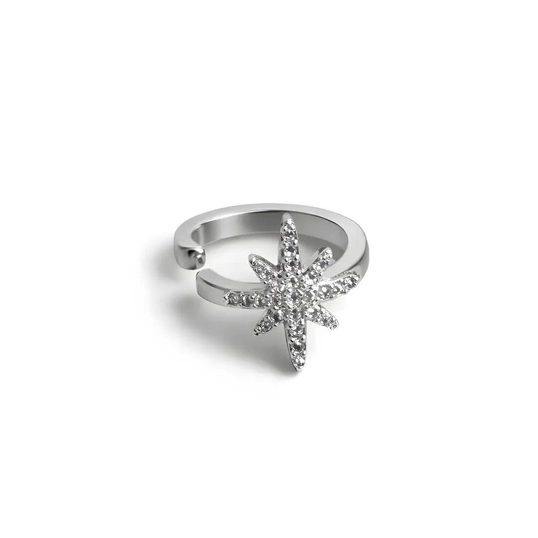 Yıldız Kıkırdak Küpe