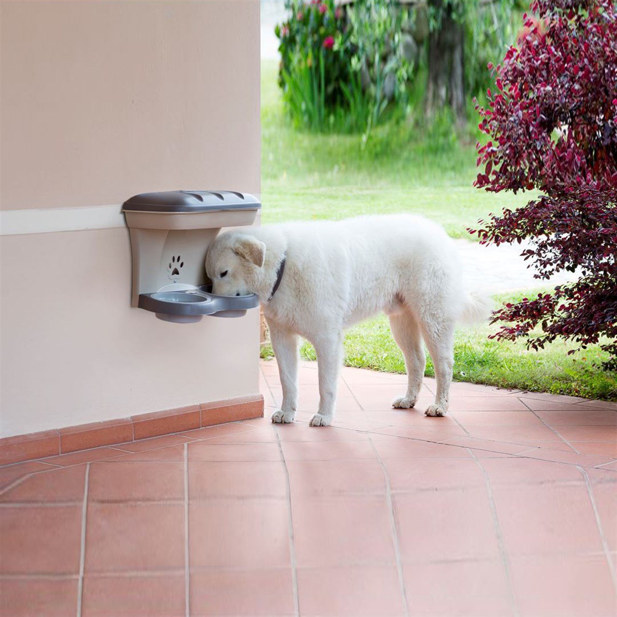 Bama Maxi Köpek Beslenme Ünitesi, Mama Standı , Plastik Mama Kabı, Kahverengi