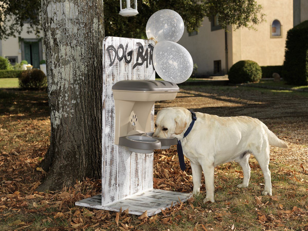 Bama Maxi Köpek Beslenme Ünitesi, Mama Standı , Plastik Mama Kabı, Kahverengi