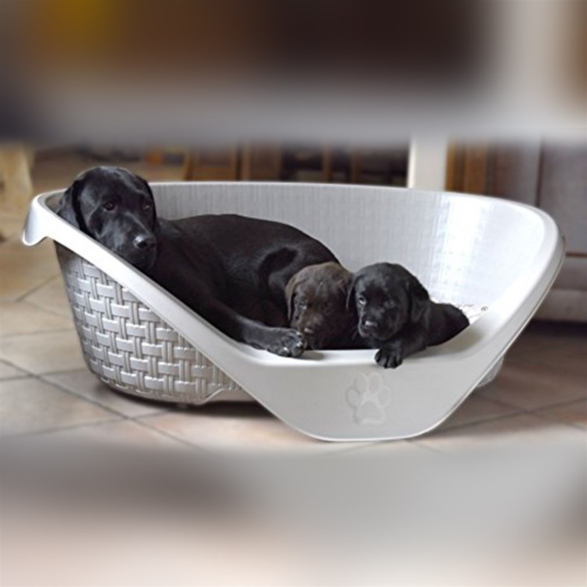 Bama Nido Köpek Yatağı 90cm, Gri