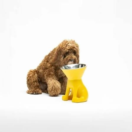 Elizabeth Saffaron Yellow