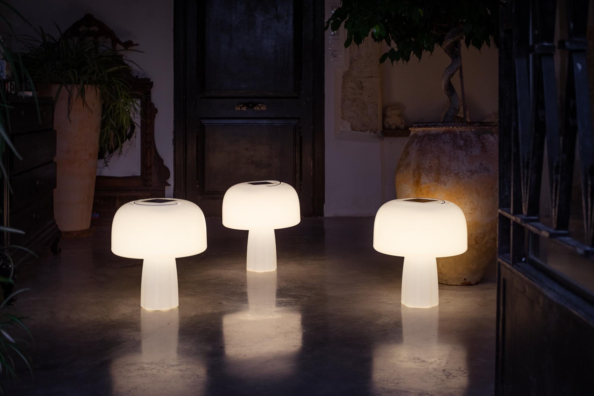 Goodnight Light The Boleti Lamp