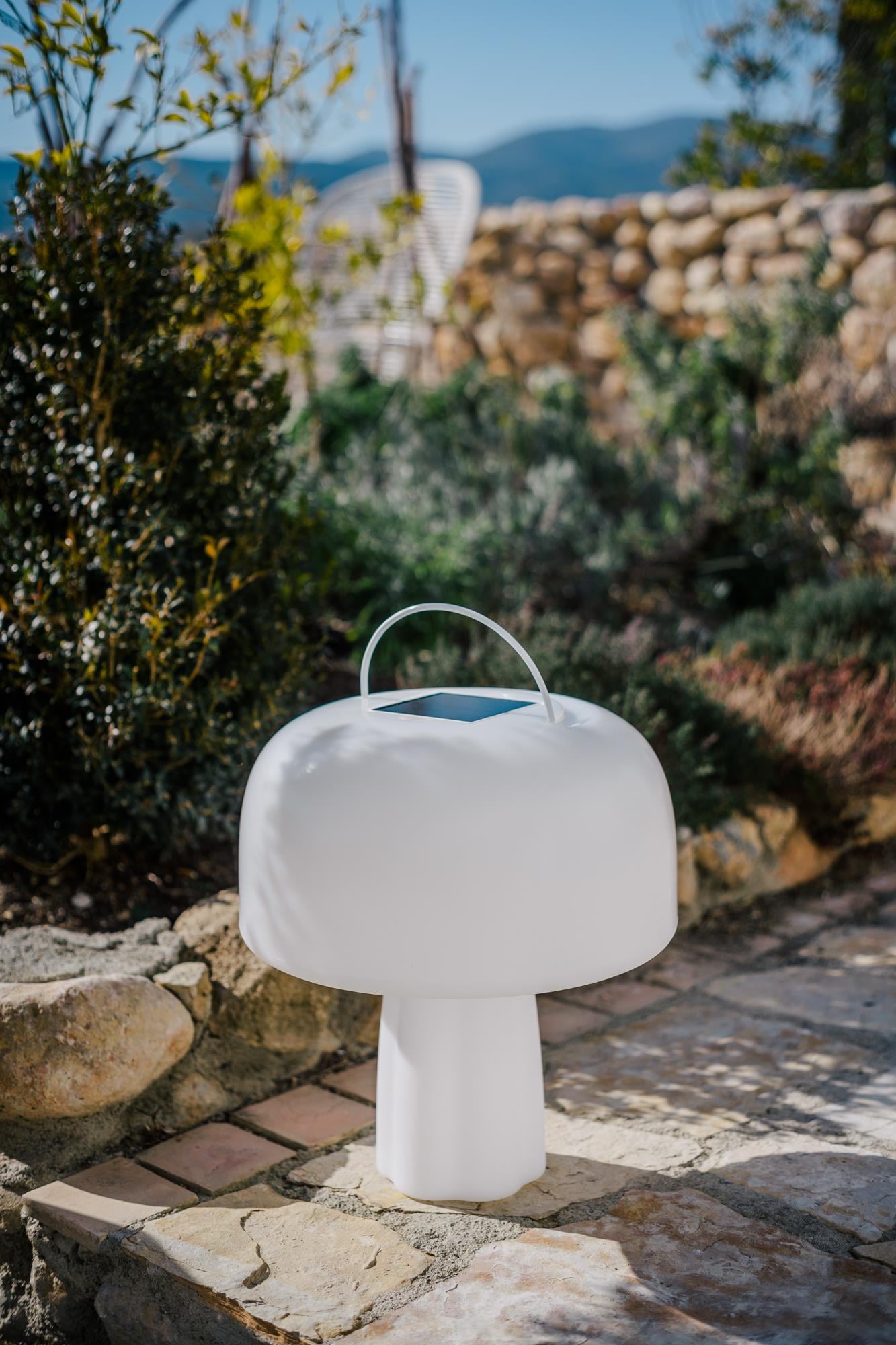 Goodnight Light The Boleti Lamp