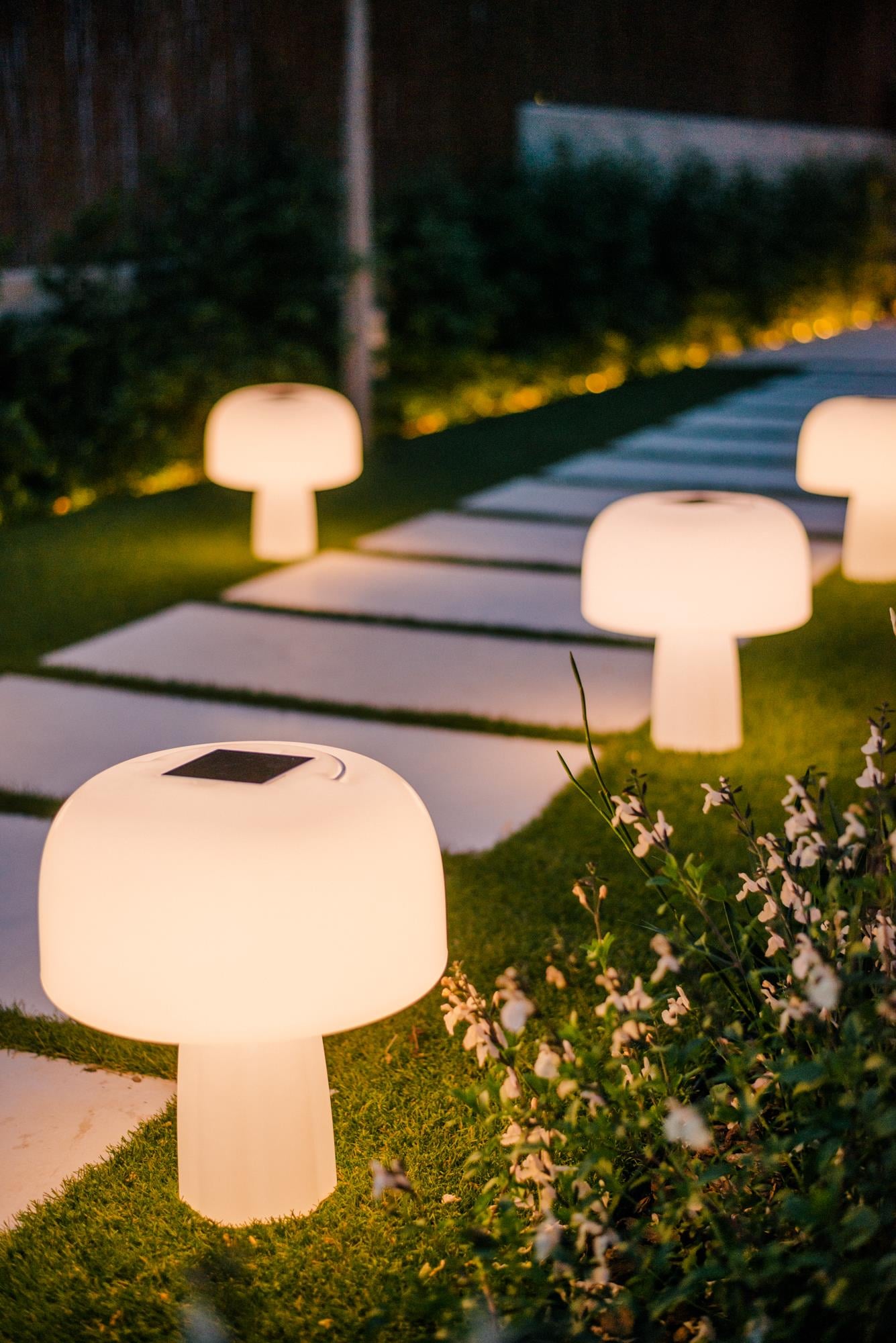 Goodnight Light The Boleti Lamp