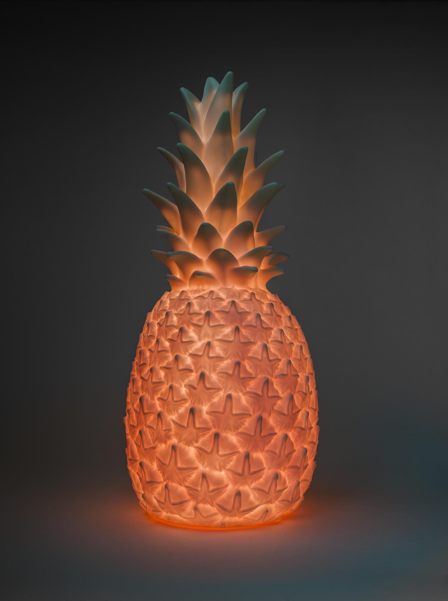 Goodnight Light The Pinacolada Lamp Roze