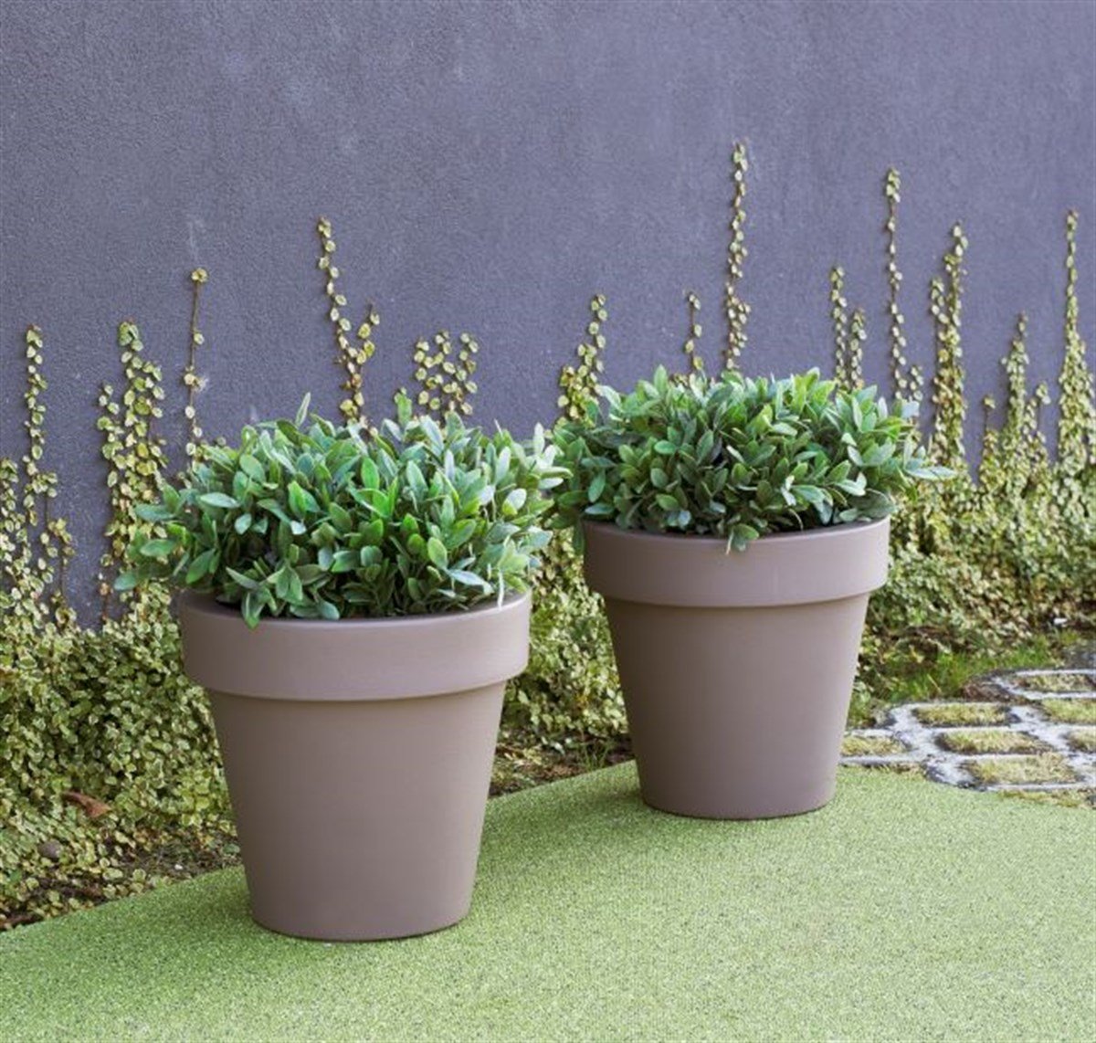 Magnolia 60 Saksı Kahverengi