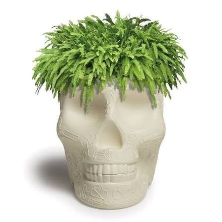 Qeeboo Mexico Planter/Champagne Cooler Ivory