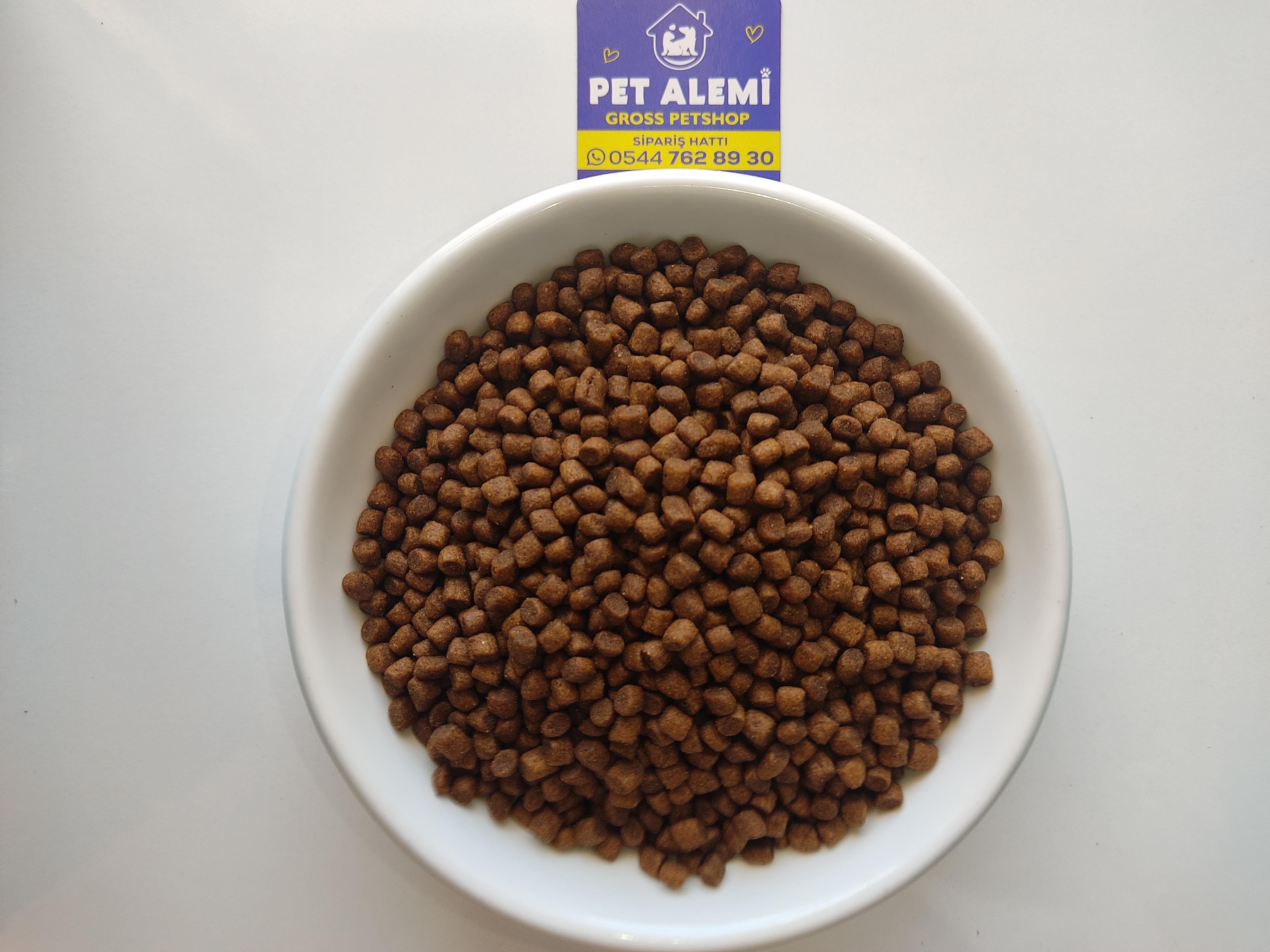 Felicia Kuzulu Açık Yavru Kedi Maması 1 Kg