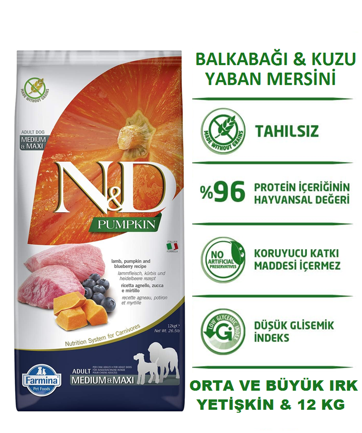 ND Pumpkin Bal Kabaklı Kuzu Etli ve Yaban Mersinli Orta ve Büyük Irk Tahılsız Yetişkin Köpek Maması 12Kg