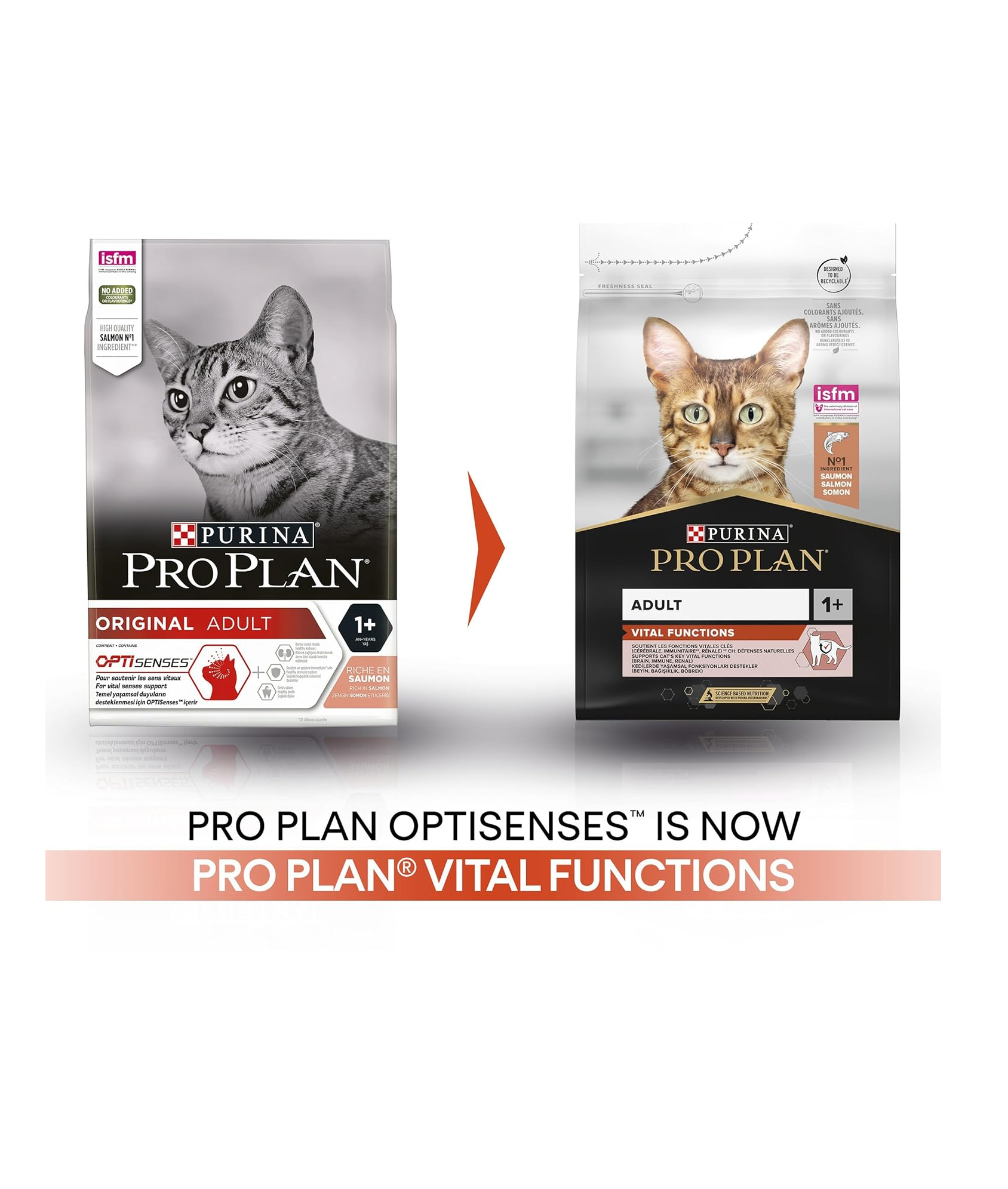 Pro Plan Original Somon Balıklı Yetişkin Kedi Maması 10 Kg