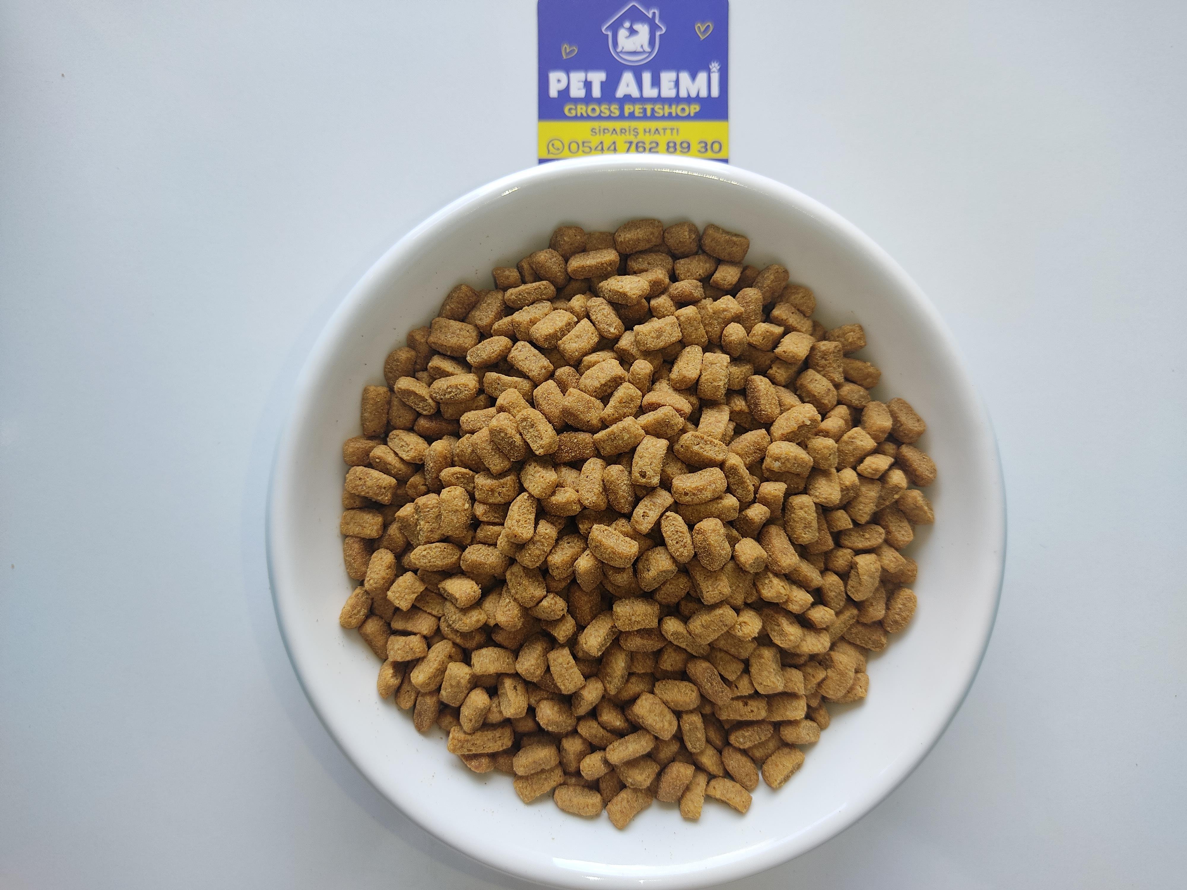 Pro Plan Somonlu Kısır Kedi Maması 1 Kg Açık