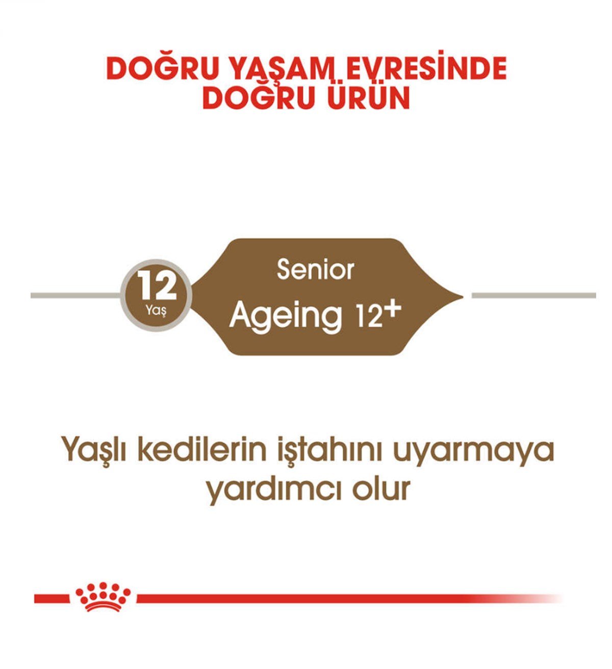 Royal Canin Ageing +12 Yaşlı Kedi Maması 2 Kg