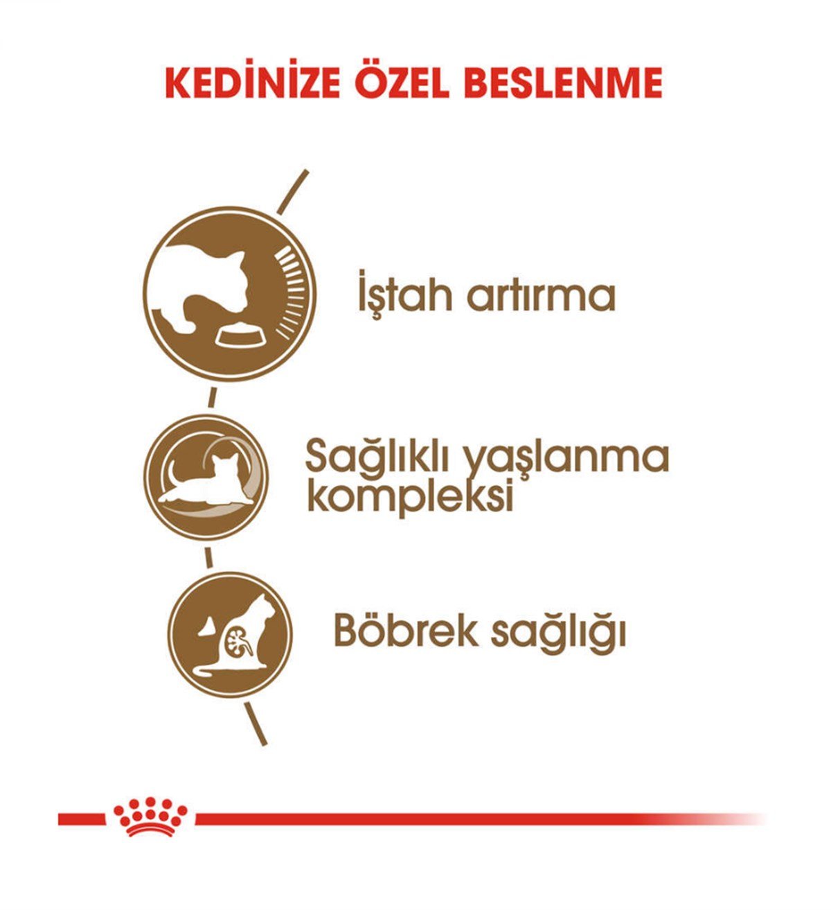 Royal Canin Ageing +12 Yaşlı Kedi Maması 2 Kg