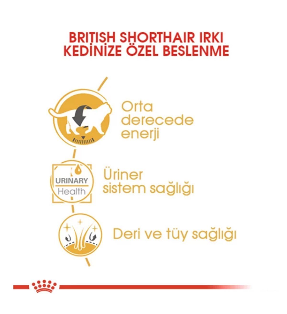 Royal Canin British Shorthair Pouch Yetişkin Kedi Maması 85 Gr 12 Adet