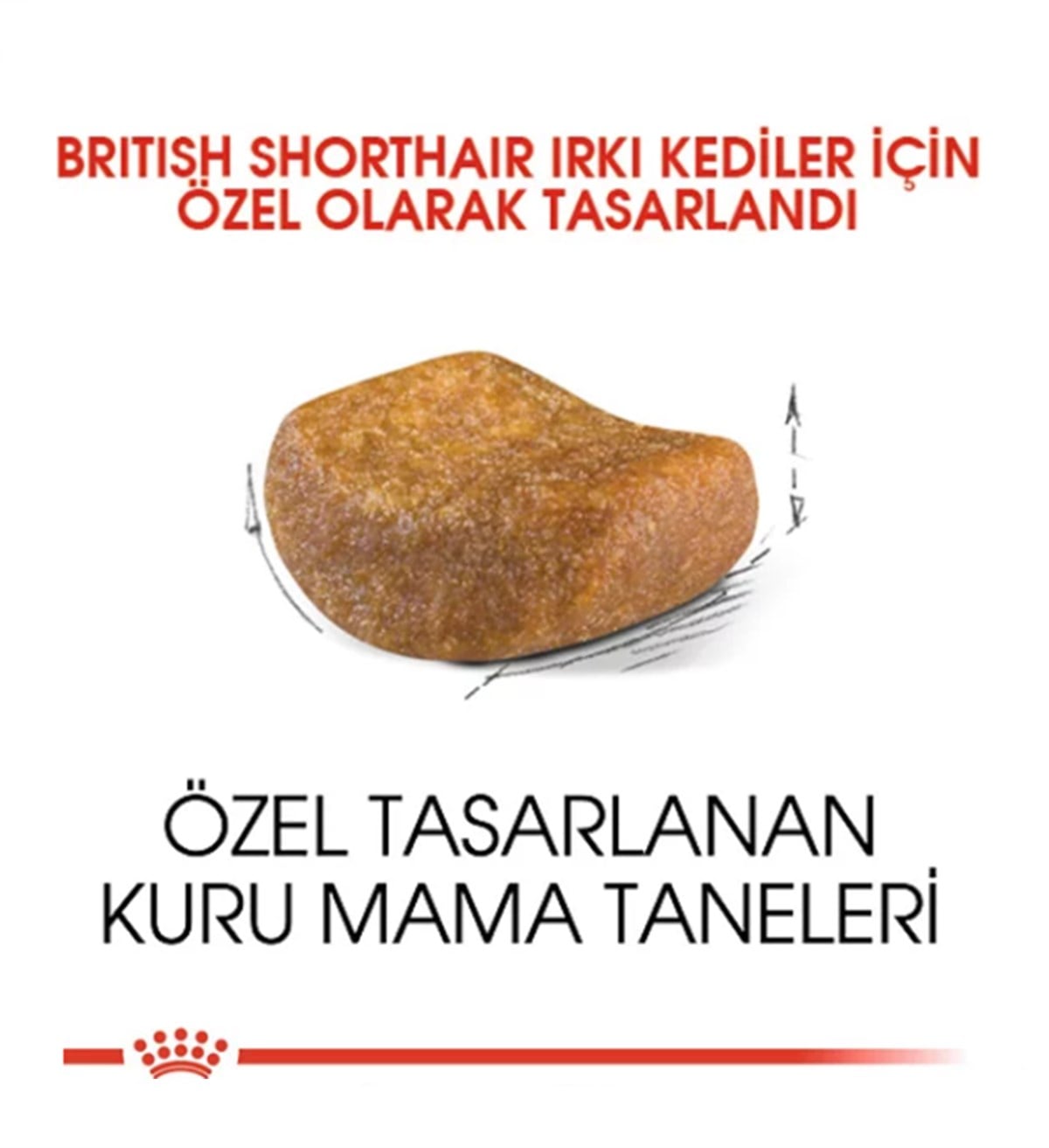 Royal Canin British Shorthair Yetişkin Kedi Maması 10 Kg