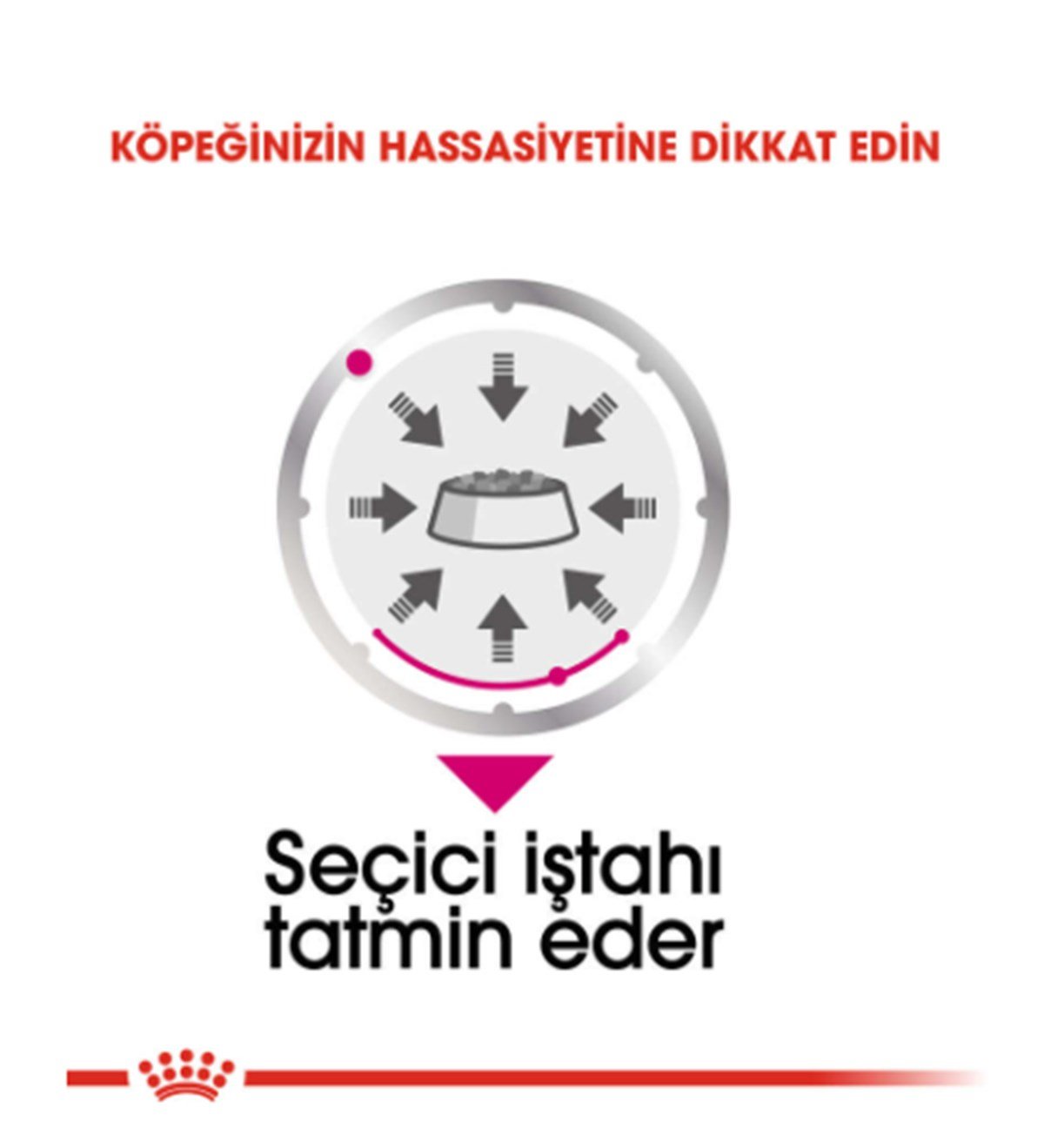 Royal Canin Ccn Exigent Loaf Yaş Köpek Maması 85 Gr X 12 Adet