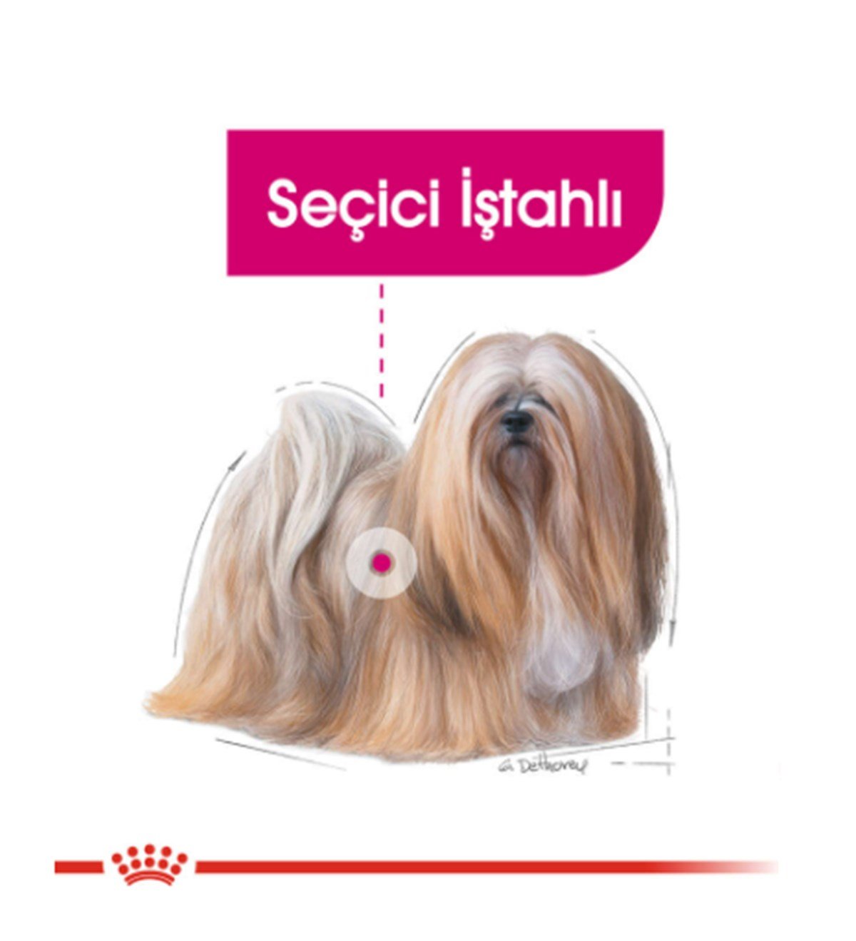 Royal Canin Ccn Exigent Loaf Yaş Köpek Maması 85 Gr X 12 Adet
