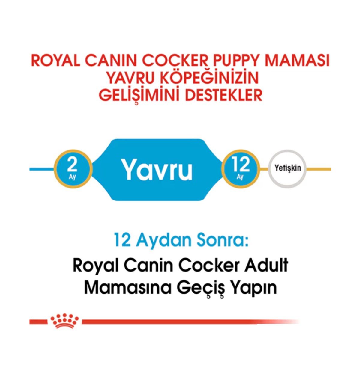 Royal Canin Cocker Puppy Yavru Köpek Maması 3 Kg