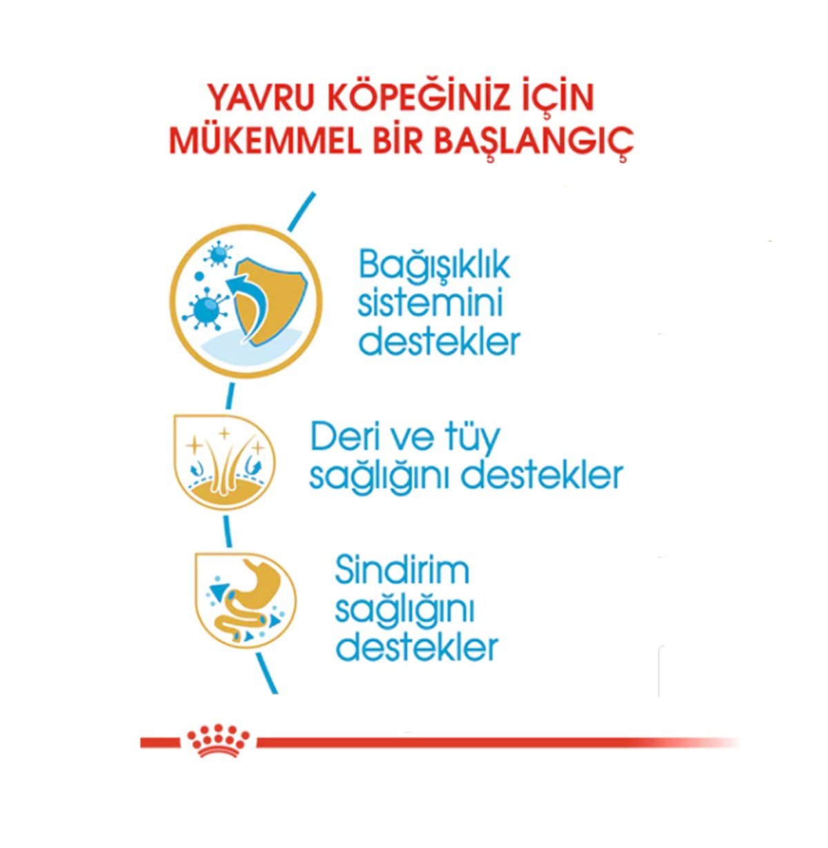 Royal Canin Cocker Puppy Yavru Köpek Maması 3 Kg