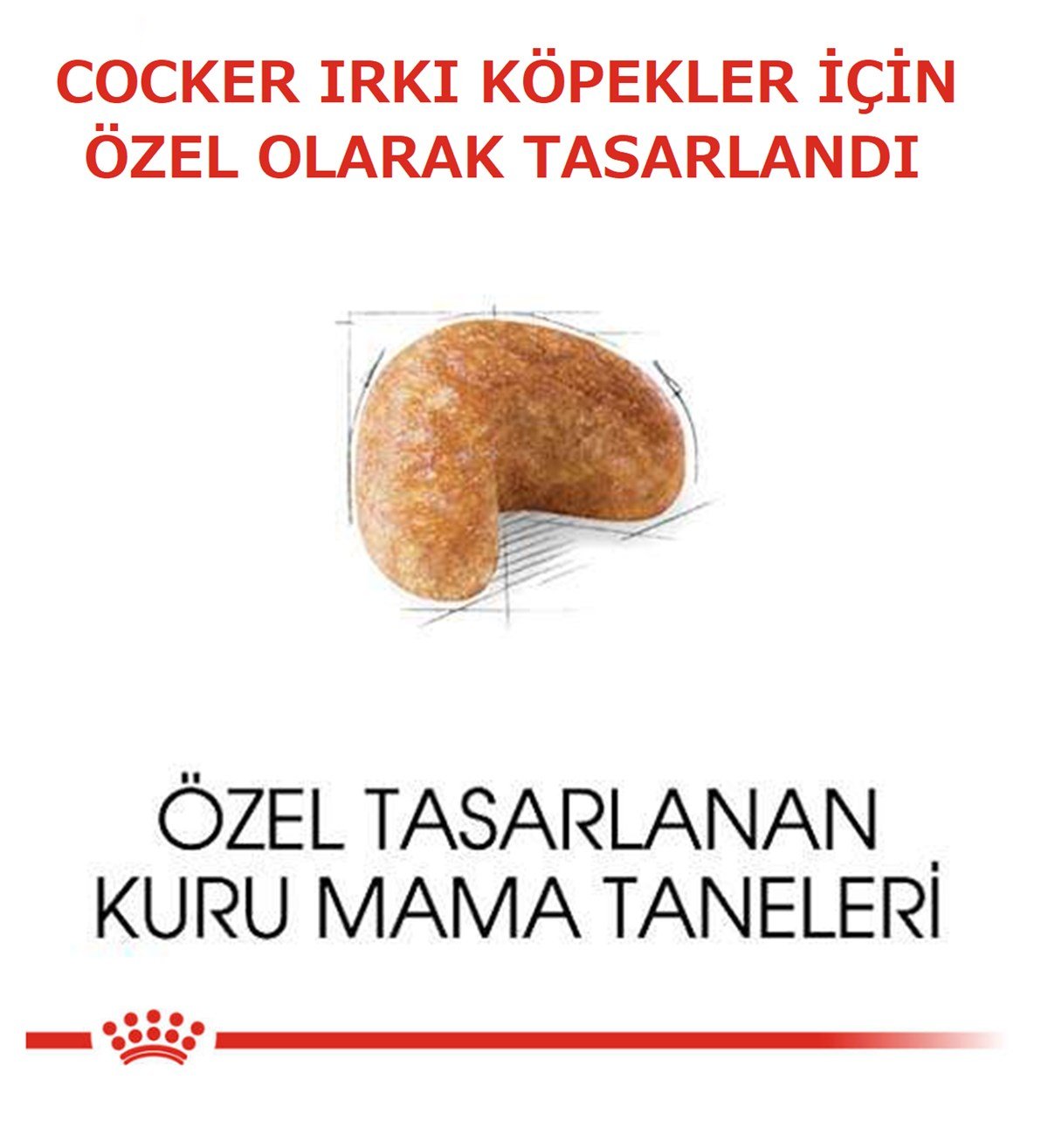 Royal Canin Cocker Spaniel 25 Adult Yetişkin Köpek Maması 3 Kg