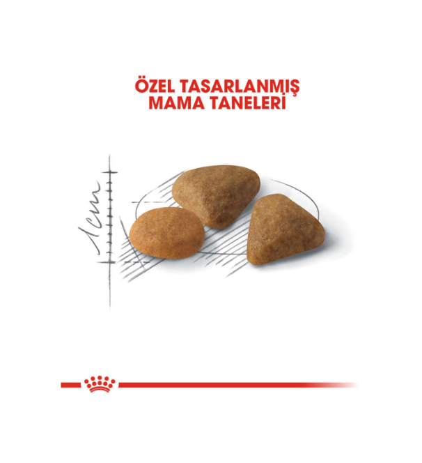 Royal Canin Exigent Hassas Seçici Kediler için Kedi Maması 2 Kg