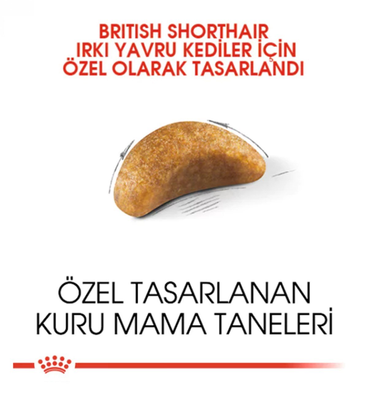 Royal Canin Feline Kitten British Shorthair Yavru Kedi Maması 2Kg