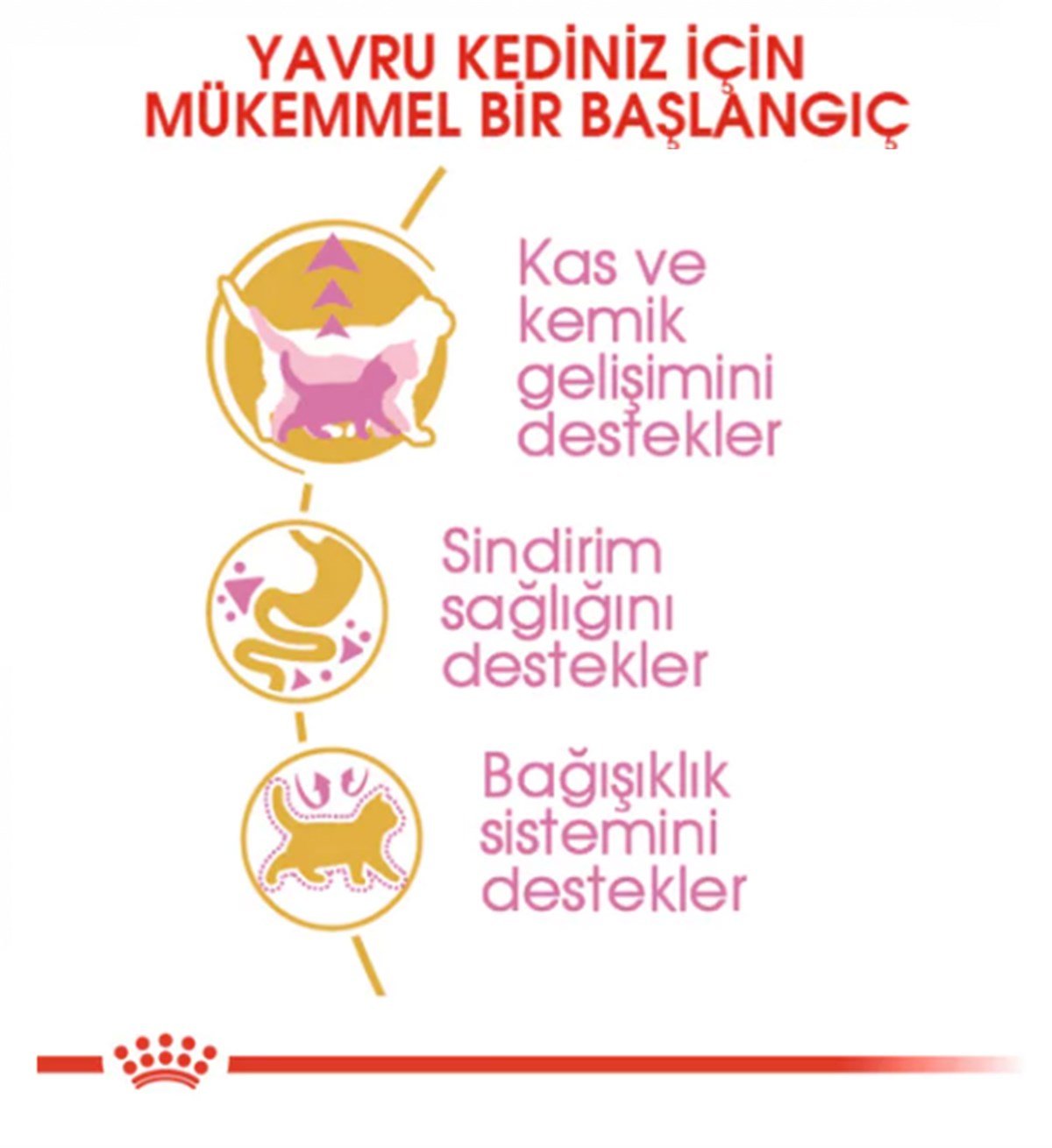 Royal Canin Feline Kitten British Shorthair Yavru Kedi Maması 2Kg