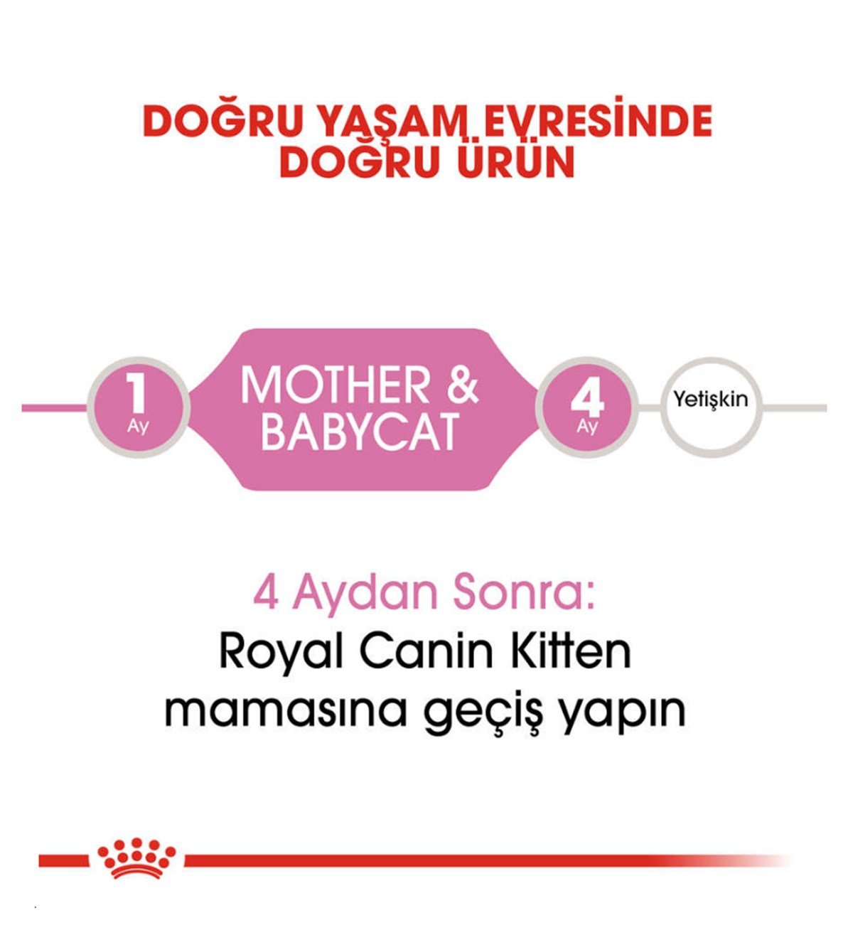 Royal Canin Fhn Babycat Yavru Kedi Maması 4 Kg