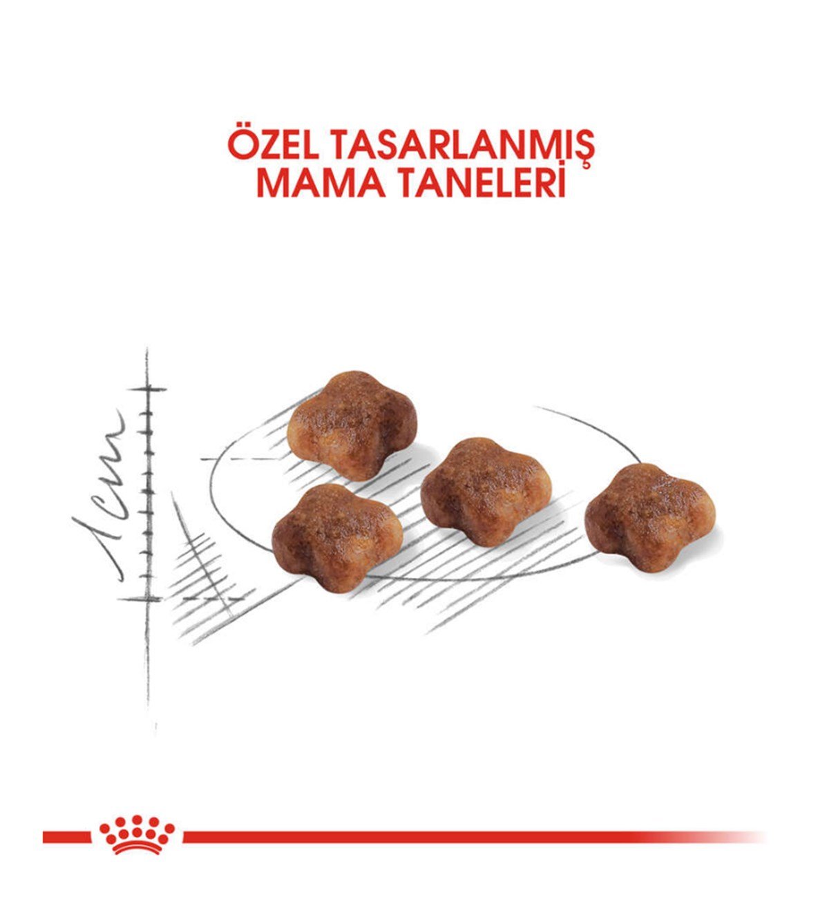 Royal Canin Fhn Babycat Yavru Kedi Maması 4 Kg