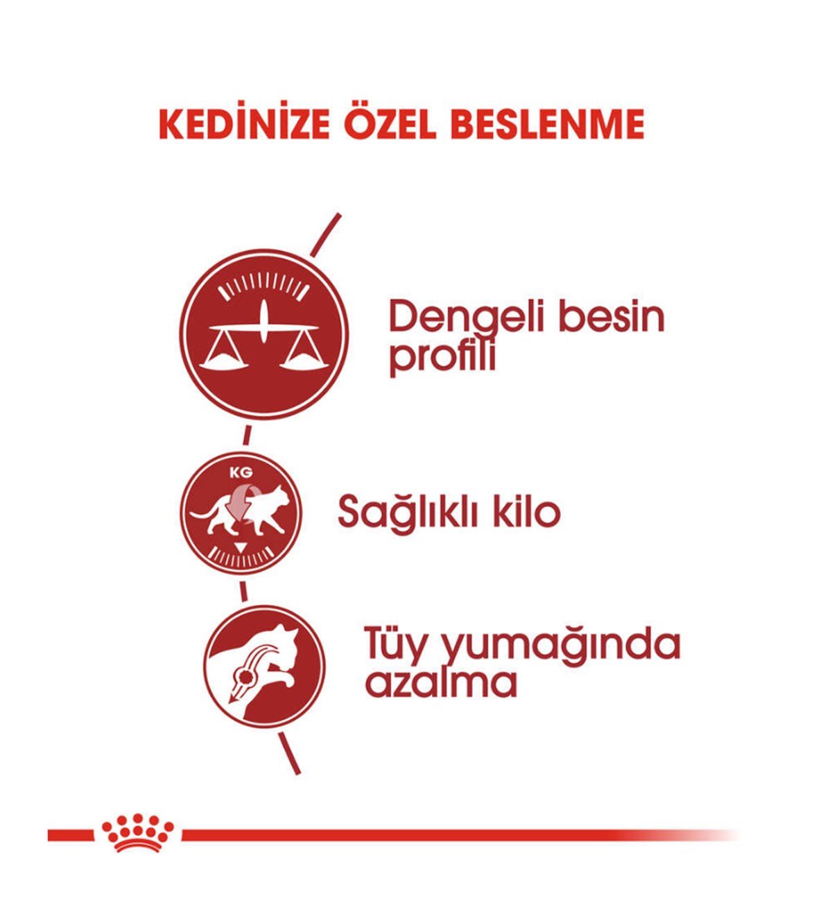 Royal Canin Fit 32 Yetişkin Kedi Maması 15 Kg