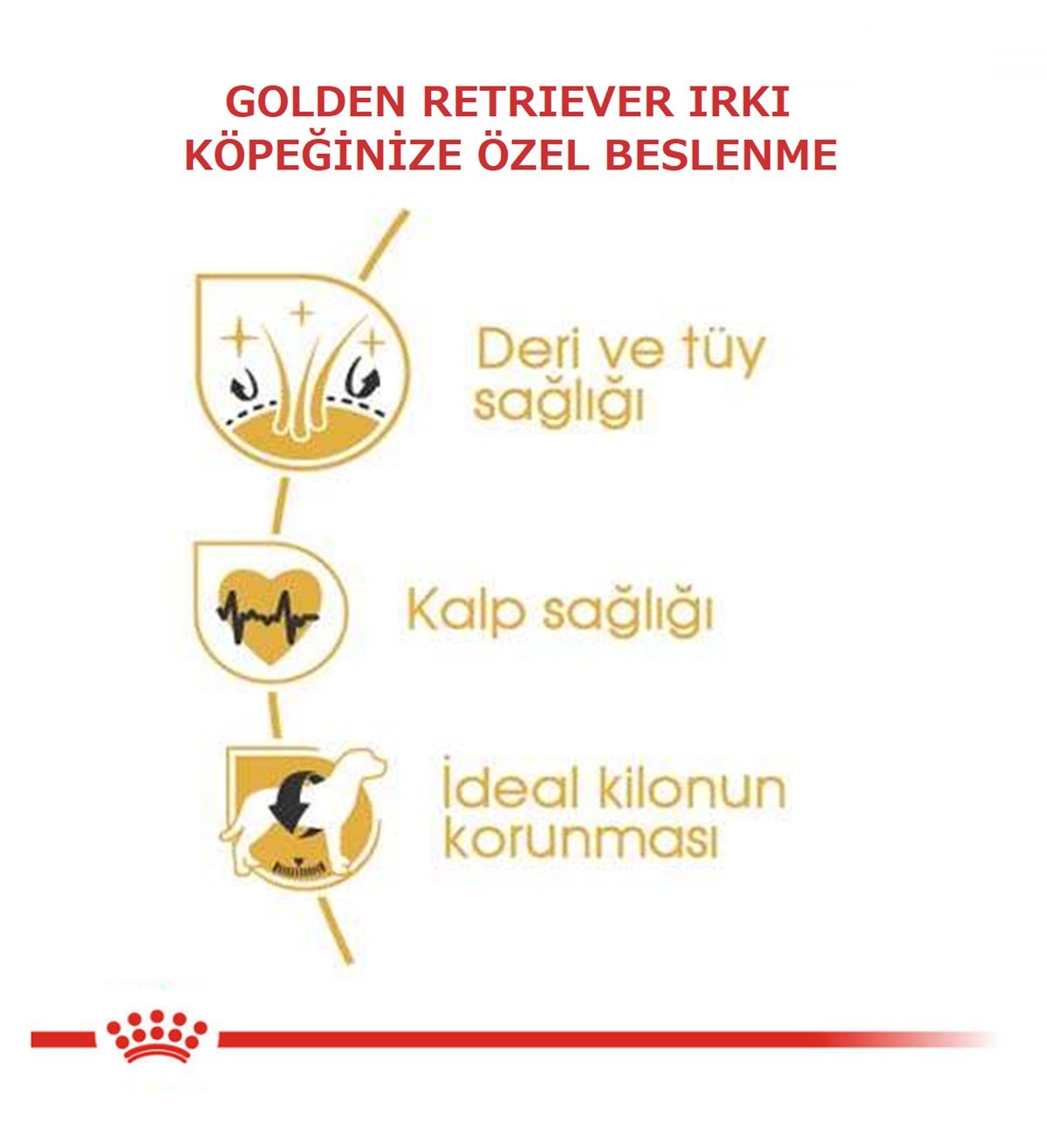 Royal Canin Golden Retriever Köpek Maması 12Kg