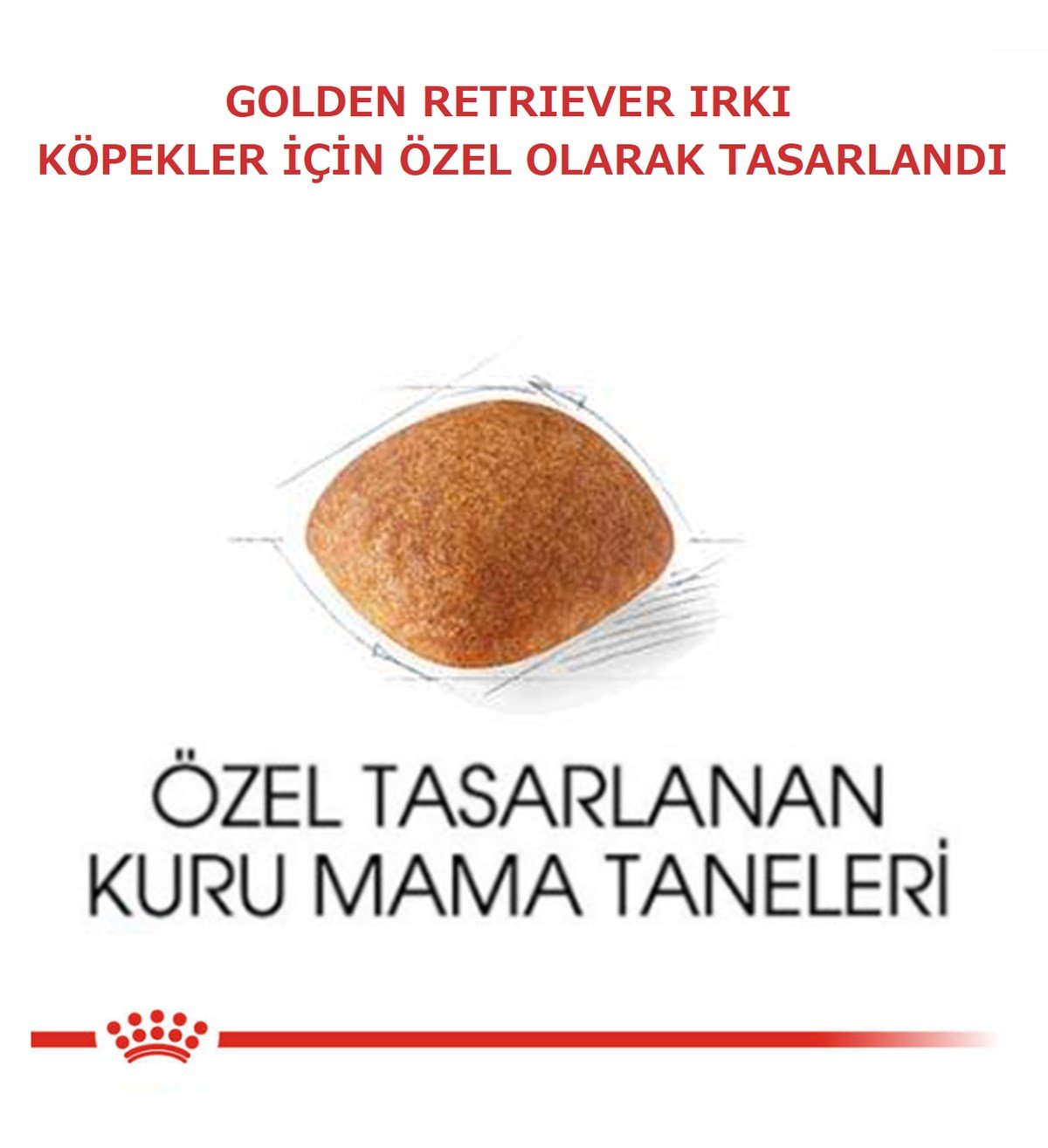 Royal Canin Golden Retriever Köpek Maması 12Kg