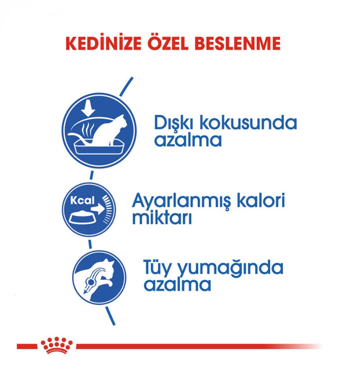 Royal Canin Indoor Yetişkin Kedi Maması 2 Kg