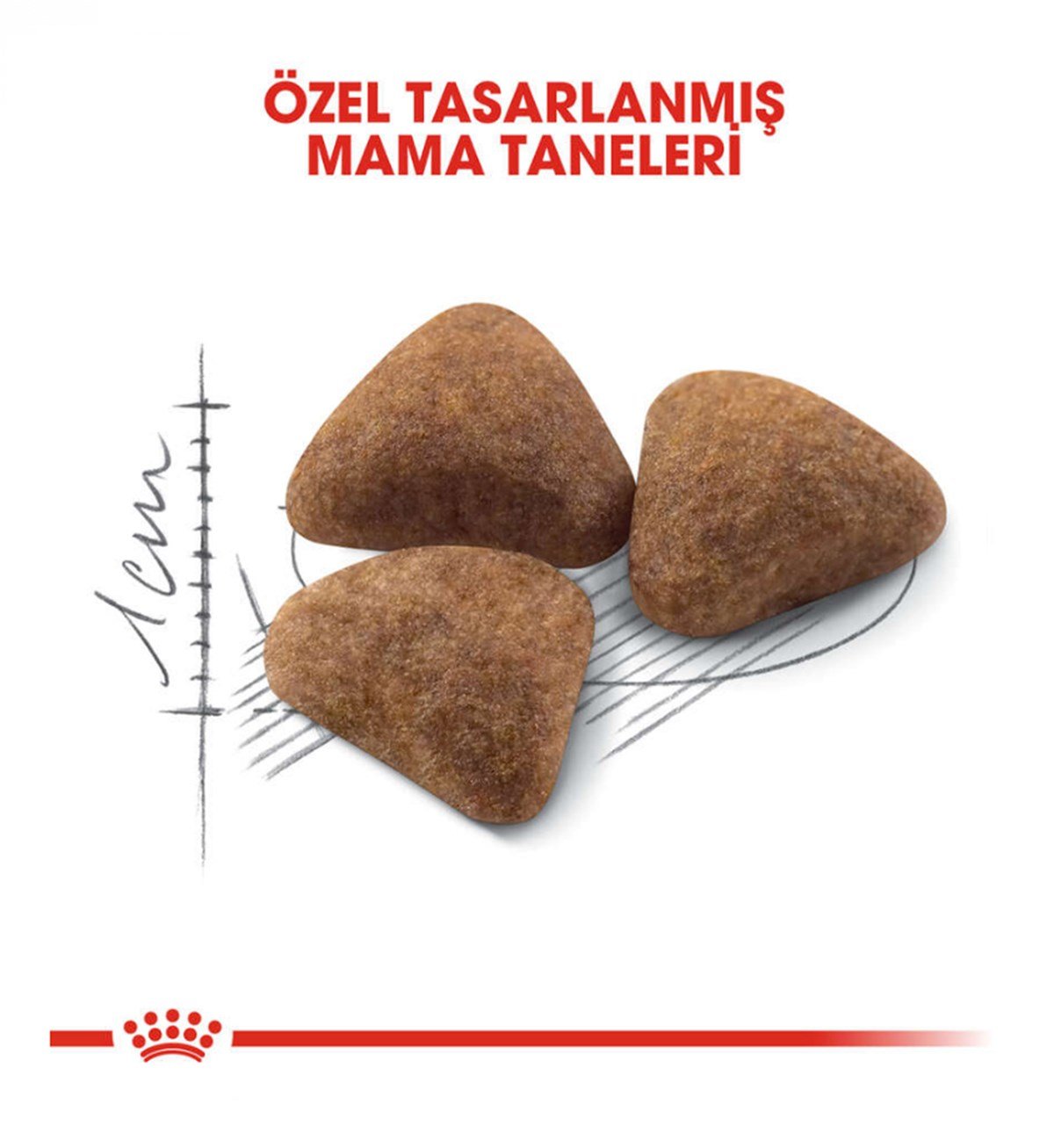 Royal Canin Indoor Yetişkin Kedi Maması 2 Kg