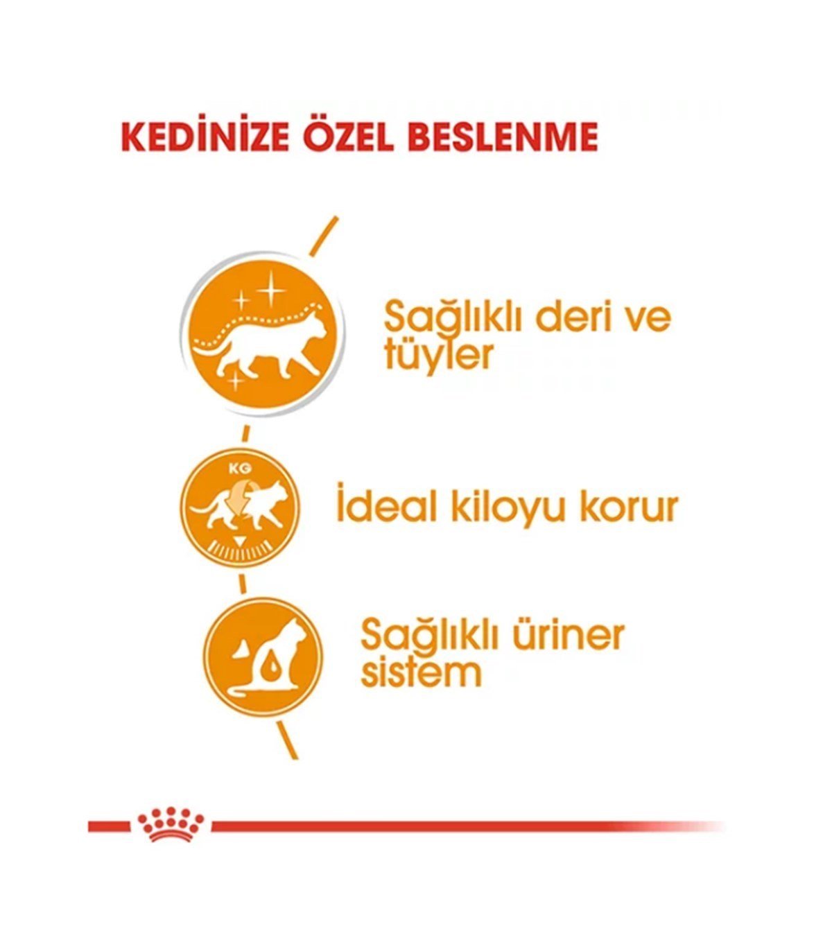 Royal Canin Intense Beauty Gravy Pouch Yetişkin Kedi Yaş Maması 85 Gr. 12 Adet