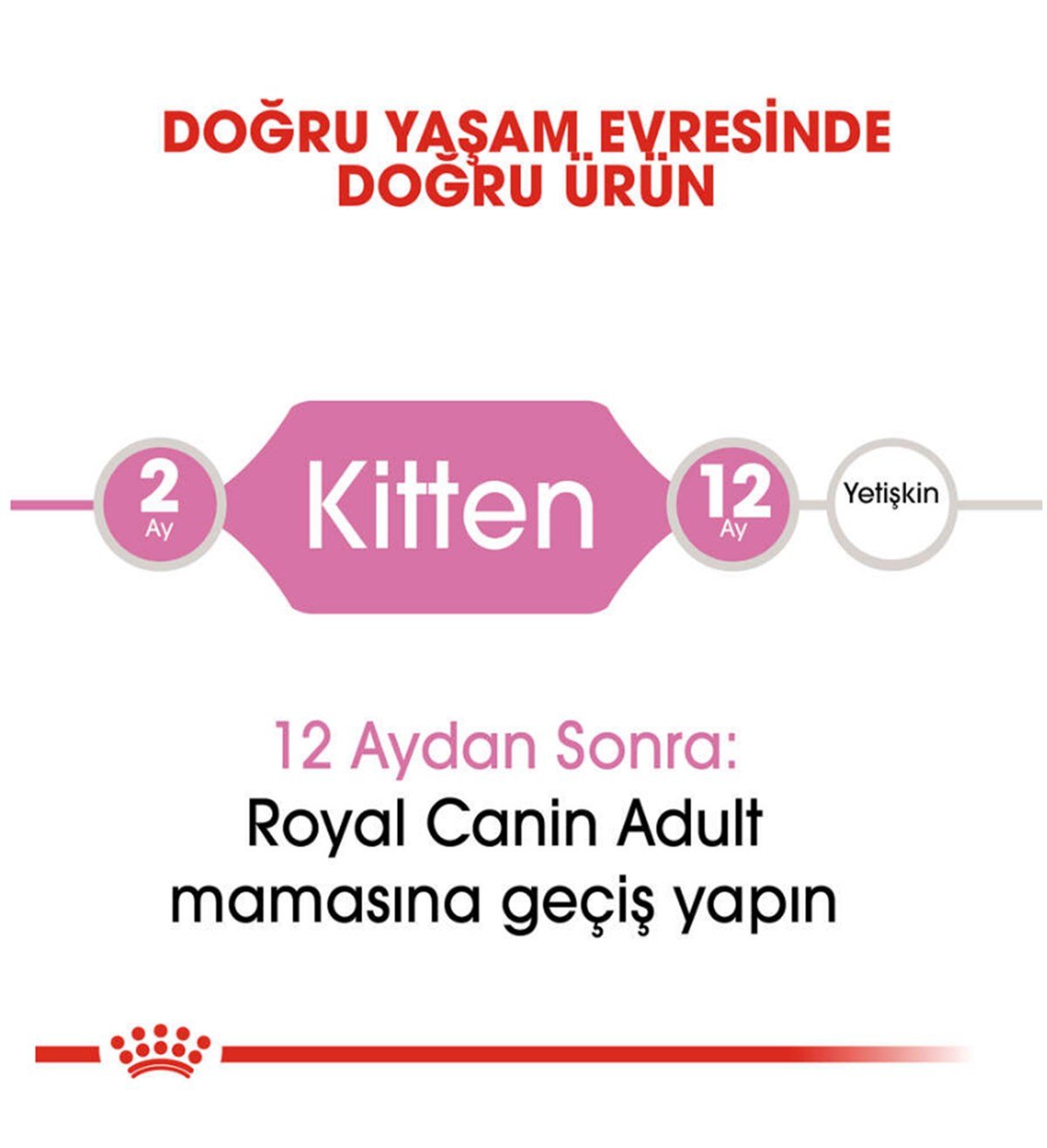 Royal Canin Kitten Yavru Kedi Maması 2 Kg