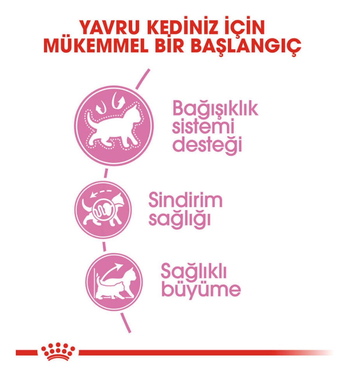 Royal Canin Kitten Yavru Kedi Maması 4 Kg