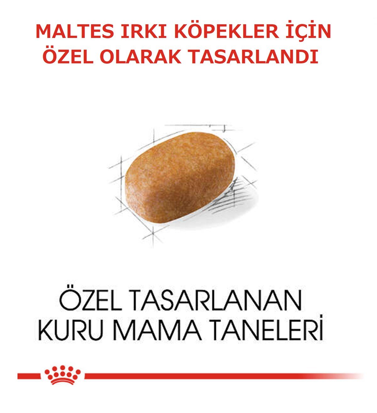Royal Canin Maltese Bichon Maltais Yetişkin Köpek Maması 1.5 Kg