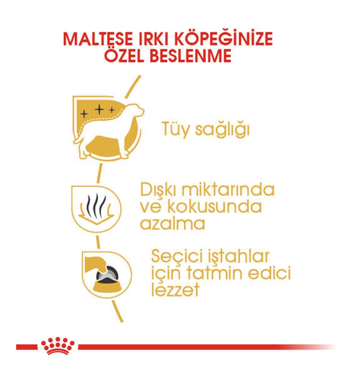 Royal Canin Maltese Bichon Maltais Yetişkin Köpek Maması 1.5 Kg
