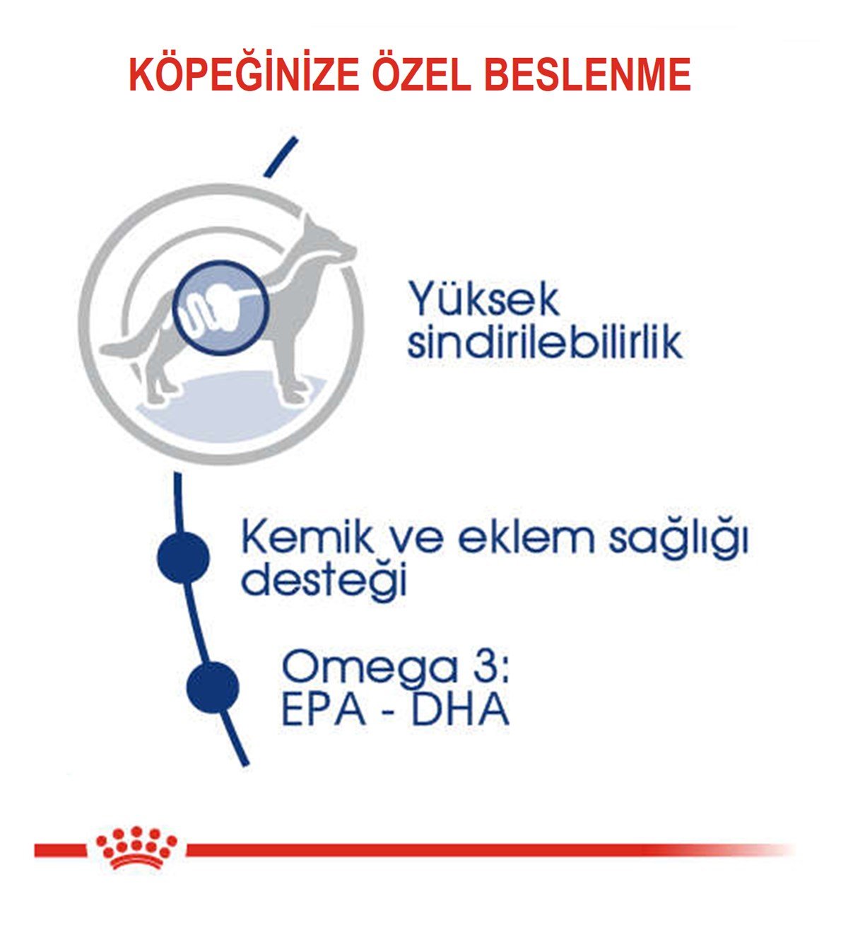 Royal Canin Maxi Adult Büyük Köpek Maması 15 Kg