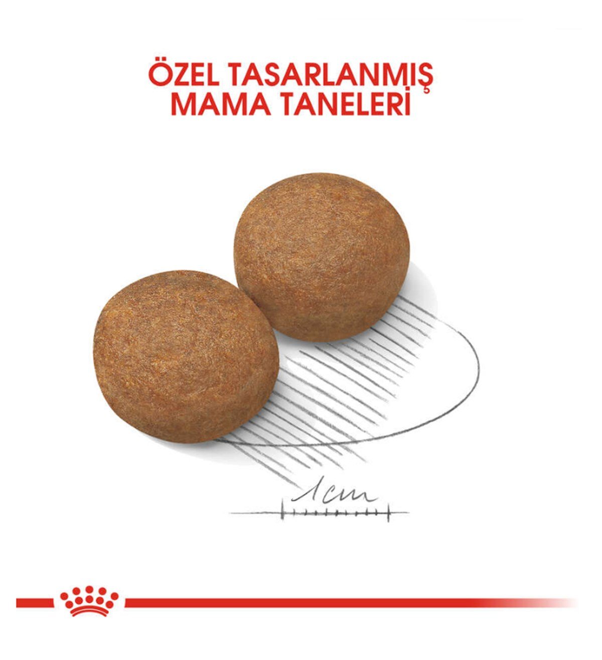 Royal Canin Maxi Adult Büyük Köpek Maması 15 Kg