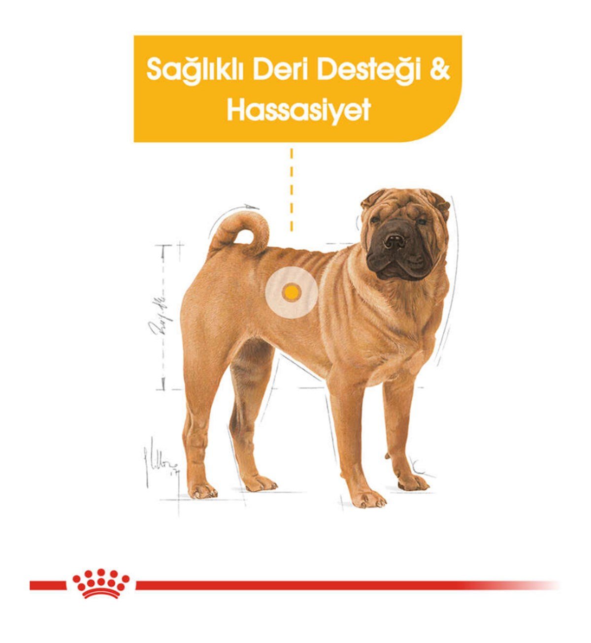 Royal Canin Medium Dermacomfort Orta Irk Hassas Yetişkin Köpek Maması 10 Kg.