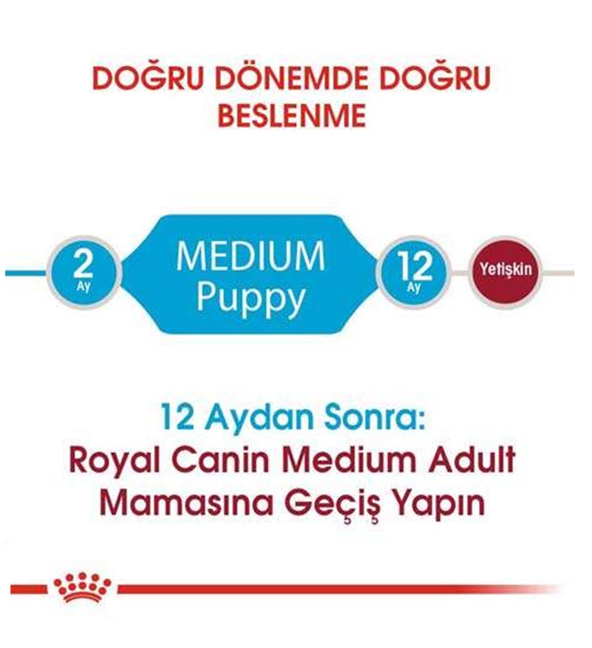 Royal Canin Medium Puppy Orta Irk Yavru Köpek Maması 15 KG.