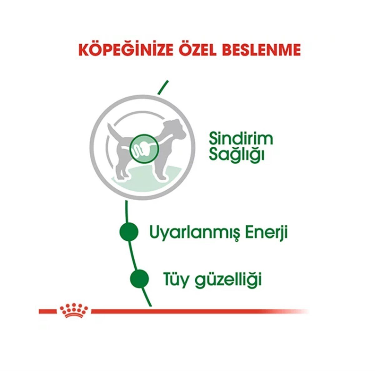 Royal Canin Mini Adult Pouch Konserve Köpek Maması 85 Gr. 12 Adet